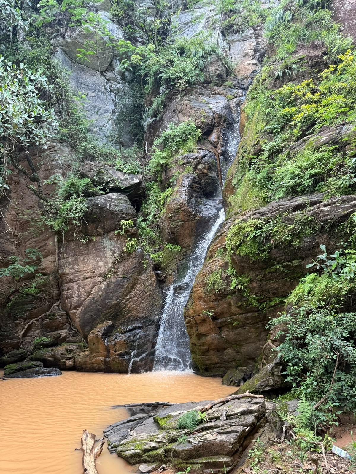 Montañas cubiertas de bosque rumbo a Cascada Corral Falso